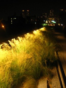 Highline Lighting